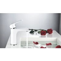 Rose R2101F Image #3