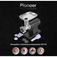 Pioneer Platinum MG100 Image #2