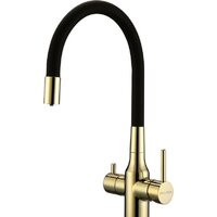 Paulmark Salix Sa213419-G (черный/золото)