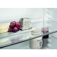 Liebherr ICNf 5103 Pure NoFrost 5103-22001 Image #11