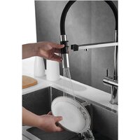 Rose R958 (хром) Image #4