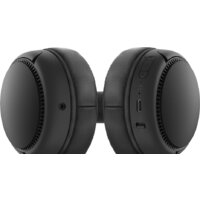 Panasonic RB-M300BGE-K Image #3