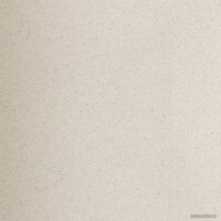 Wisent 420-30W (с сифоном GER013) Image #10