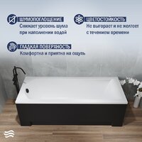 Lauter Amelia 170 21204070 (с ножками, лицевым экраном черного цвета и сифоном 21Y32001 матовый черный) Image #4