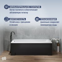 Lauter Amelia 170 21204070 (с ножками, лицевым экраном черного цвета и сифоном 21Y11021 матовый черный) Image #6