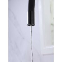 Paulmark Salix Sa213419-418 (черный металлик) Image #2