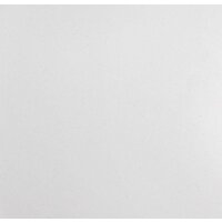 Wisent 480-28WR (с сифоном GER013) Image #5