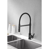 Rose R133H (черный) Image #5