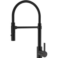 Rose R133H (черный) Image #1