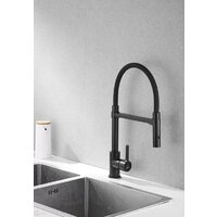 Rose R133H (черный) Image #6