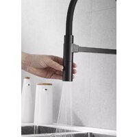 Rose R133H (черный) Image #4