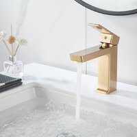 Rose R1801G-1 Image #7