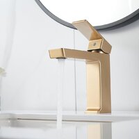 Rose R1801G-1 Image #6