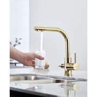 Paulmark Essen Es213011-G (золото) Image #9