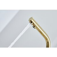 Paulmark Essen Es213011-G (золото) Image #6