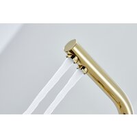 Paulmark Essen Es213011-G (золото) Image #8