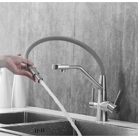 Rose R558L Image #12