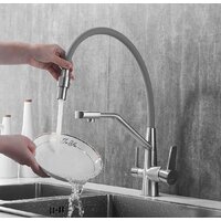 Rose R558L Image #11