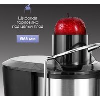 Zigmund & Shtain EJ-757 Image #5