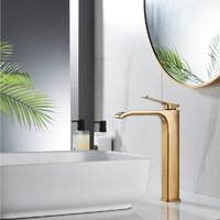 Shevanik S4011G Image #3