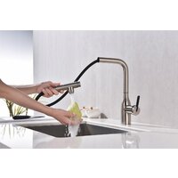 Paulmark Viper Vi213105-NI (никель) Image #19