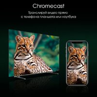 Digma Pro OLED 55M Image #11