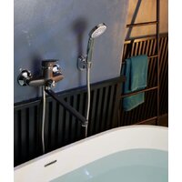 Potato P22277-19 Image #2