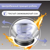 Zigmund & Shtain EJ-756 Image #5