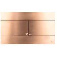 OLI 885052+889312 (бронза/медь) Image #2