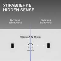 Zigmund & Shtain K 171.7 W Image #5