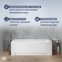 Lauter Amelia 170 21204070 (с каркасом, серым подголовником и белым лиц. экраном) Image #5