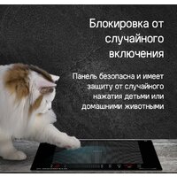 MAUNFELD CVI292S2FBK Lux Image #9