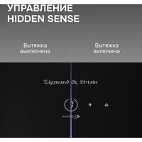 Zigmund & Shtain K 171.5 B Image #6