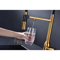 Paulmark Magneto One Ma213188-BG (золото/брашированное золото) Image #3