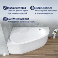 Lauter Valencia 140x95 2102140L (с ножками и сифоном 21Y11030 хром) Image #4