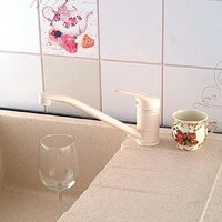 Potato D124-49SM Image #2