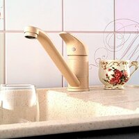 Potato D124-49SK Image #2