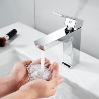 Rose R1801-1 Image #9