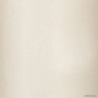 Wisent 580-30WQ (с сифоном GER011) Image #12