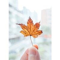 Nikon NIKKOR Z 28-75mm f/2.8 Image #14