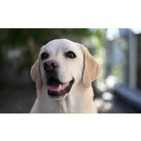 Nikon NIKKOR Z 28-75mm f/2.8 Image #12