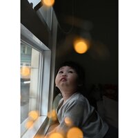 Nikon NIKKOR Z 28-75mm f/2.8 Image #13