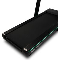 Bronze Gym WalkWay Image #6