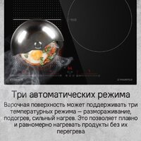 MAUNFELD CVI593SFBK Inverter Image #17