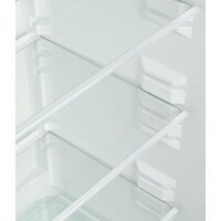 Snaige RF58SM-S5RB2E Image #7