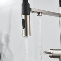 Rose R358L Image #10