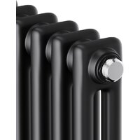 Royal Thermo Insignia C2180 - 10 секций RAL9005m Image #3