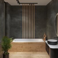 Lauter Axel 170 21B1170 Image #6