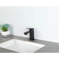 FRAP F1076-6 Image #10