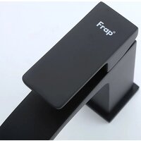 FRAP F1076-6 Image #3